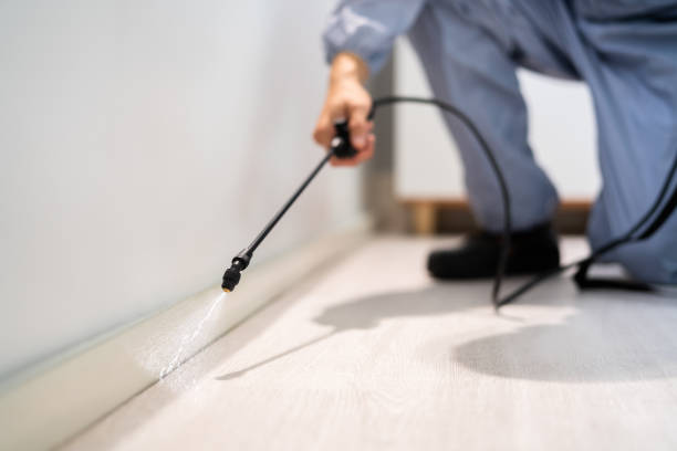 Bed Bug Pre-Treatment Preparation Assessment in Country Squire Lakes