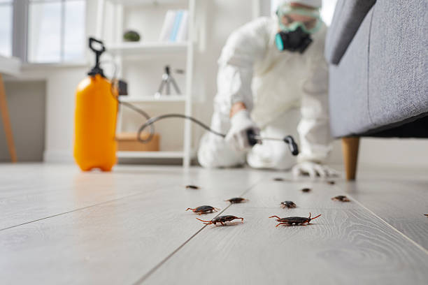 Post-Treatment Bed Bug Interceptor Monitoring in Country Squire Lakes